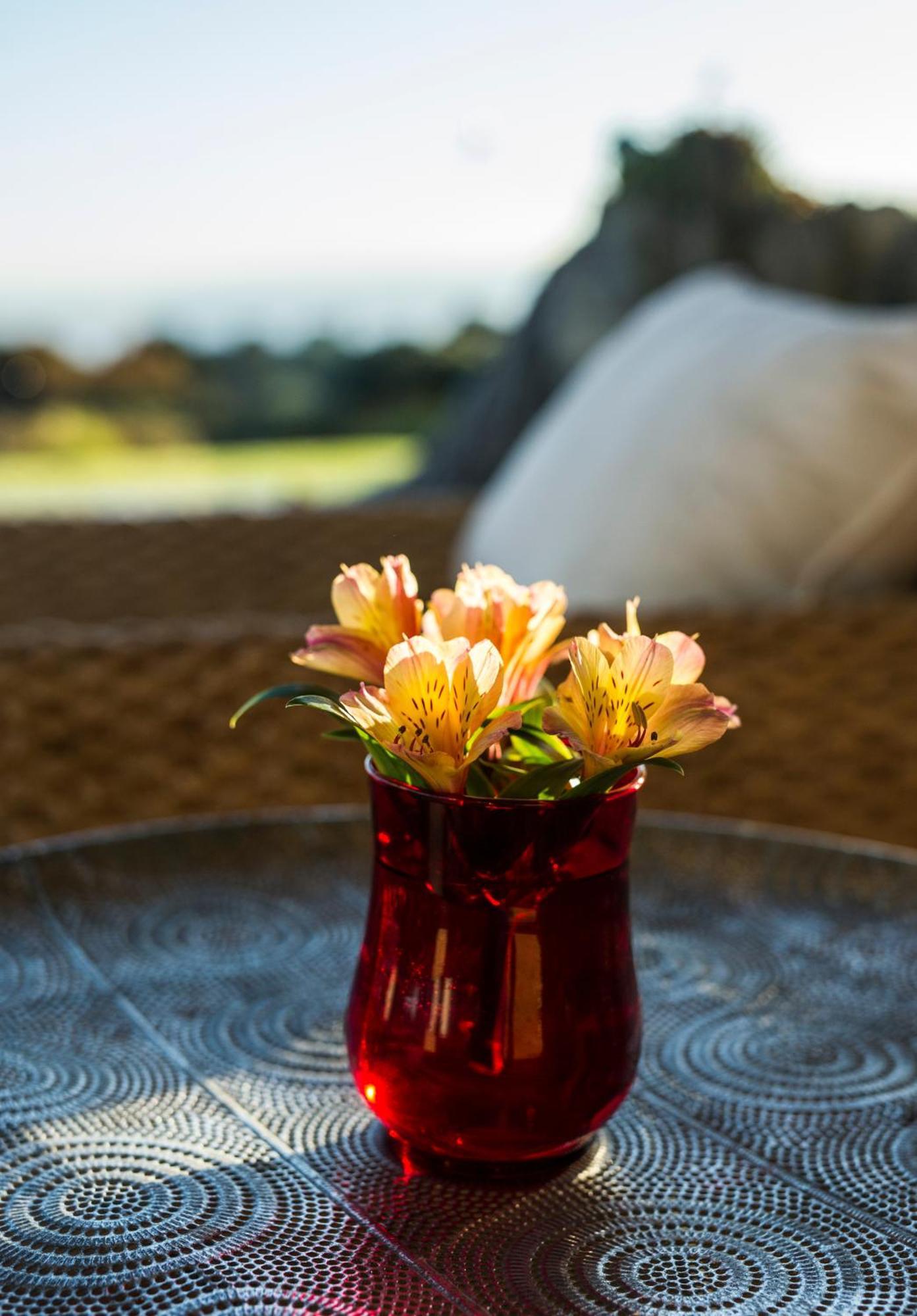 Matapouri & Tutukaka Spectacular Coastal Views- Aroha Luxury Guest Suite Ngoại thất bức ảnh